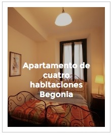 previsualización apartamento cuatro habitaciones Begonia