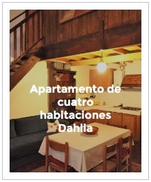 previsualización apartamento cuatro habitaciones Dahlia