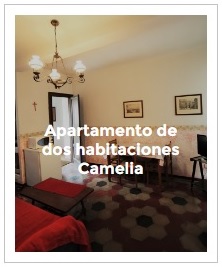 previsualización apartamento de dos habitaciones Camelia
