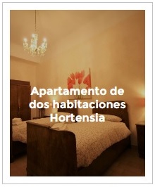 previsualización apartamento de dos habitaciones Hortensia