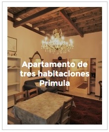 previsualización apartamento tres habitaciones Primula