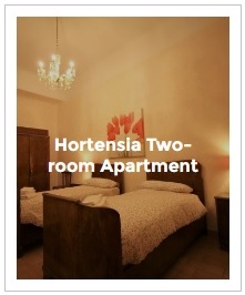 Preview Image of Hortensia two-room apartment in Antica Corte Milanese